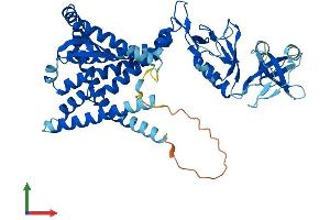 Protein Structure (PS) image for Membrane-Bound Transcription Factor Peptidase, Site 2 (MBTPS2) (AA 1-515) protein (His tag) (ABIN7559350)