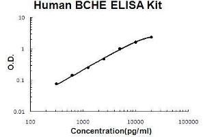 Human BCHE PicoKine ELISA Kit standard curve (Butyrylcholinesterase ELISA 试剂盒)