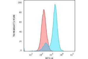 Flow Cytometric Analysis of PFA-fixed HeLa cells using Collagen VII Mouse Monoclonal Antibody (LH7.