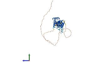 Protein Structure (PS) image for LIM Homeobox 6 (LHX6) (AA 1-363) protein (His tag) (ABIN7549086)