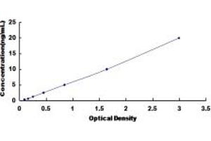 Typical standard curve (FMO1 ELISA 试剂盒)