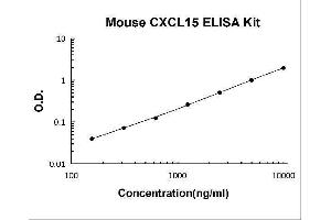 Chemokine (C-X-C Motif) Ligand 15 (CXCL15) ELISA Kit