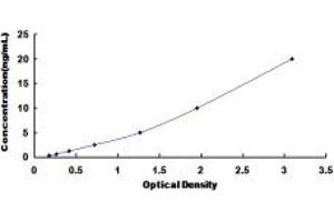 Typical standard curve (OSCP1 ELISA 试剂盒)