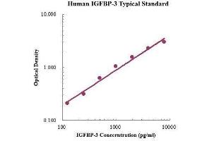 ELISA image for Insulin-Like Growth Factor Binding Protein 3 (IGFBP3) ELISA Kit (ABIN3198552)