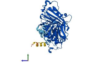 Protein Structure (PS) image for GDP Dissociation Inhibitor 2 (GDI2) (AA 1-445) protein (His tag) (ABIN7557720)