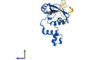 Protein Structure (PS) image for Suppressor of Cytokine Signaling 2 (SOCS2) (AA 1-198) protein (His tag) (ABIN7562371)