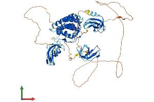 Protein Structure (PS) image for CAP-GLY Domain Containing Linker Protein Family, Member 4 (CLIP4) (AA 1-704) protein (His tag) (ABIN7559368)