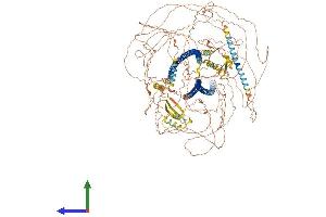 AlphaFold protein structure predicition of Mouse Recombinant Synm Protein, UniprotID Q70IV5 (SYNM Protein (AA 1-1561) (His tag))