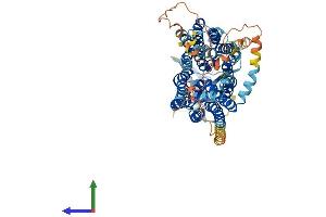Protein Structure (PS) image for Solute Carrier Organic Anion Transporter Family, Member 1C1 (SLCO1C1) (AA 1-715) protein (His tag) (ABIN7565048)