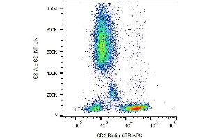 Surface staining of human peripheral blood with anti-human CD2 (MEM-65) purified, GAM-APC. (CD2 抗体)
