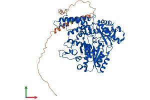 AlphaFold protein structure predicition of Human Recombinant GAD1 Protein, UniprotID Q99259 (GAD Protein (AA 1-594) (His tag))