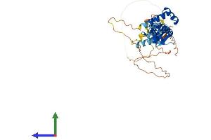 Protein Structure (PS) image for LIM Homeobox 6 (LHX6) (AA 1-363) protein (His tag) (ABIN7556224)