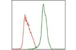 Flow cytometric analysis of MOLT4 cells using MPL mouse mAb (green) and negative control (red). (MPL 抗体)