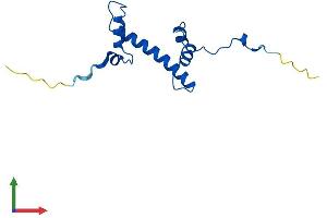 AlphaFold protein structure predicition of Mouse Recombinant H2aj Protein, UniprotID Q8R1M2