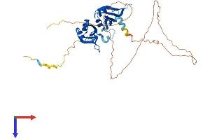 HNRNPA3 Protein (AA 1-378) (His tag)