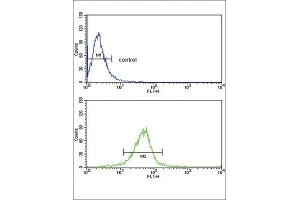 Flow Cytometry (FACS) image for anti-Glutathione S-Transferase mu 1 (GSTM1) antibody (ABIN3002864) (GSTM1 抗体)
