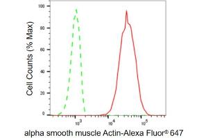 Flow cytometric analysis of alpha smooth muscle Actin expression in HT- cells using alpha smooth muscle Actin antibody (ABIN7797464), 1:2,000). (Recombinant Smooth Muscle Actin 抗体)