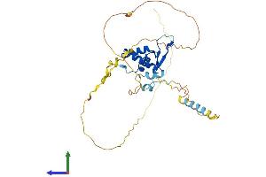 Protein Structure (PS) image for Forkhead Box B1 (FOXB1) (AA 1-325) protein (His tag) (ABIN7547743)