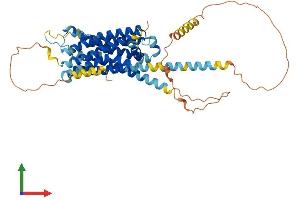 AlphaFold protein structure predicition of Human Recombinant ADRA2C Protein, UniprotID P18825