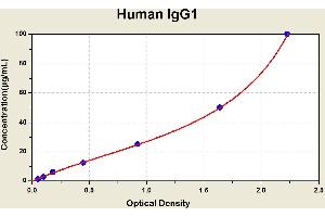 Diagramm of the ELISA kit to detect Human 1 gG1with the optical density on the x-axis and the concentration on the y-axis. (IgG1 ELISA 试剂盒)