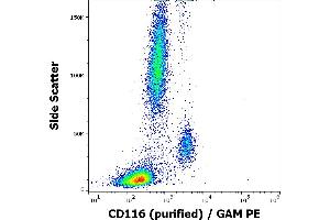 Flow cytometry surface staining pattern of human peripheral blood stained using anti-human CD116 (4H1) purified antibody (concentration in sample 3 μg/mL) GAM PE. (CSF2RA 抗体)