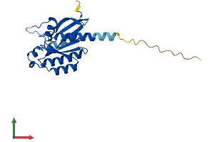Protein Structure (PS) image for RAB24, Member RAS Oncogene Family (RAB24) (AA 1-203) protein (His tag) (ABIN7563160)