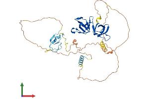 Protein Structure (PS) image for SH3 and Cysteine Rich Domain (STAC) (AA 1-403) protein (His tag) (ABIN7556778)