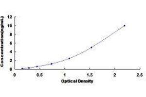 Histone Deacetylase 6 (HDAC6) ELISA Kit