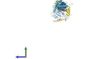 Protein Structure (PS) image for Mitofusin 1 (MFN1) (AA 1-741) protein (His tag) (ABIN7564319)