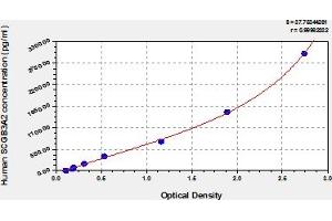 Typical Standard Curve (SCGB3A2 ELISA 试剂盒)