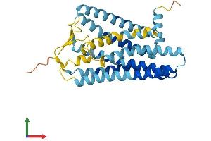 Protein Structure (PS) image for Olfactory Receptor 2A4 (OR2A4) (AA 1-310) protein (His tag) (ABIN7550070)