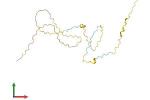 AlphaFold protein structure predicition of Human Recombinant GCSAM Protein, UniprotID Q8N6F7 (GCET2 Protein (AA 1-178) (His tag))
