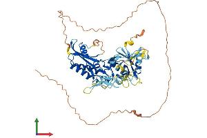 Protein Structure (PS) image for C-Type Lectin Domain Family 18, Member A (CLEC18A) (AA 1-534) protein (His tag) (ABIN7558296)