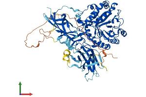 Protein Structure (PS) image for Endo-beta-N-Acetylglucosaminidase (ENGASE) (AA 1-743) protein (His tag) (ABIN7547389)
