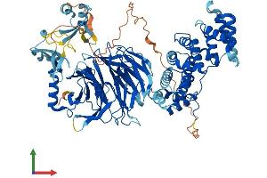 Protein Structure (PS) image for Phospholipase A2-Activating Protein (PLAA) (AA 1-795) protein (His tag) (ABIN7550868)
