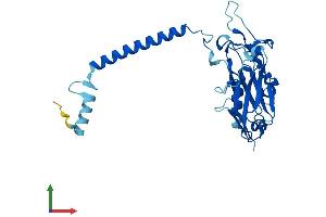 Protein Structure (PS) image for ATPase, Na+/K+ Transporting, beta 2 Polypeptide (ATP1B2) (AA 1-290) protein (His tag) (ABIN7552457)