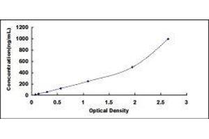 Complement Factor P (CFP) ELISA Kit