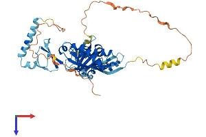 STOML1 Protein (AA 1-399) (His tag)