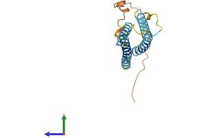 Protein Structure (PS) image for CKLF-Like MARVEL Transmembrane Domain Containing 7 (CMTM7) (AA 1-175) protein (His tag) (ABIN7553384)