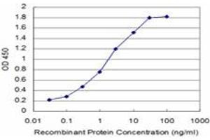 Detection limit for recombinant GST tagged SOX8 is approximately 0. (SOX8 抗体  (AA 102-210))