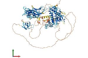 AlphaFold protein structure predicition of Human Recombinant SH3BP4 Protein, UniprotID Q9P0V3