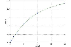 Dystroglycan 1 (DAG1) ELISA Kit