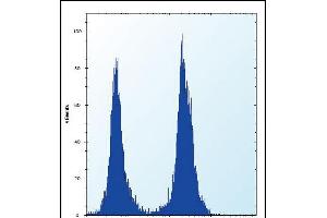 Flow Cytometry (FACS) image for anti-Solute Carrier Family 16, Member 10 (Aromatic Amino Acid Transporter) (SLC16A10) (AA 301-329), (C-Term) antibody (ABIN657159)