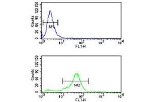 Flow Cytometry (FACS) image for anti-Histone Cluster 1, H4a (HIST1H4A) (meLys20) antibody (ABIN3031210)