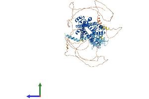 Protein Structure (PS) image for PRP40 Pre-mRNA Processing Factor 40 Homolog A (PRPF40A) (AA 1-957) protein (His tag) (ABIN7555056)