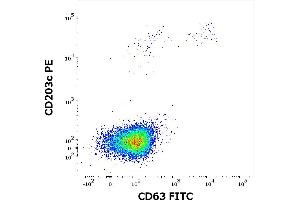 Flow cytometry dot-plot staining pattern of rCan f 1 recombinant allergen stimulated human peripheral whole blood lymphocytes and basophils of a proven allergic donor stained using anti-human CD63 (MEM-259) FITC and anti-human CD203c (NP4D6) PE antibodies . (Can f 1 (Canis Familiaris) 蛋白)