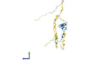 Protein Structure (PS) image for Cbp/p300-Interacting Transactivator, with Glu/Asp-Rich Carboxy-terminal Domain, 4 (CITED4) (AA 1-184) protein (His tag) (ABIN7546581)