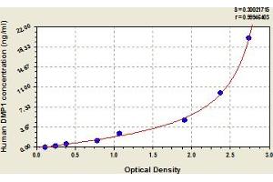 Dentin Matrix Acidic phosphoprotein 1 (DMP1) ELISA Kit