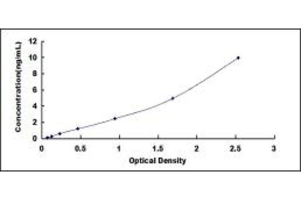 SEMA3F ELISA 试剂盒