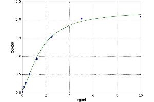 Uncoupling Protein 2 (Mitochondrial, Proton Carrier) (UCP2) ELISA Kit